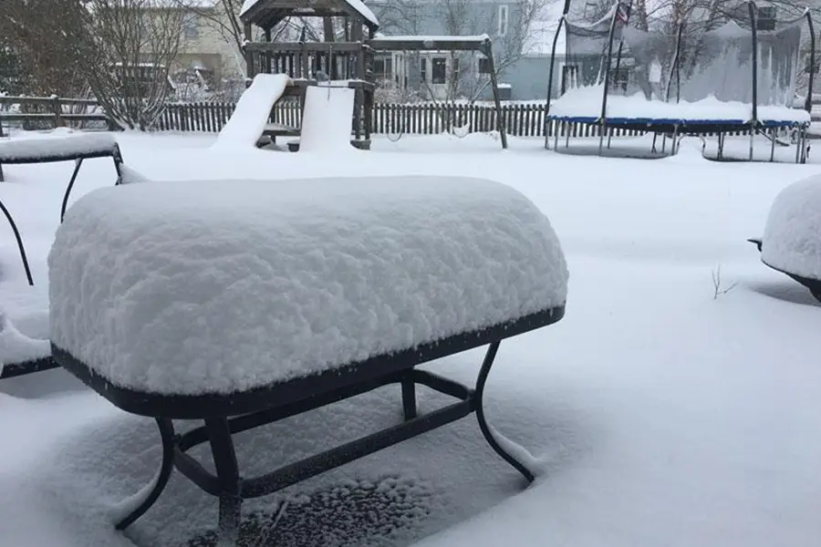 Snow-covered backyard during a winter storm