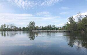 Ducks swim on a calm lake as trees and a wooden bridge line the shore beneath a partly cloudy sky.
